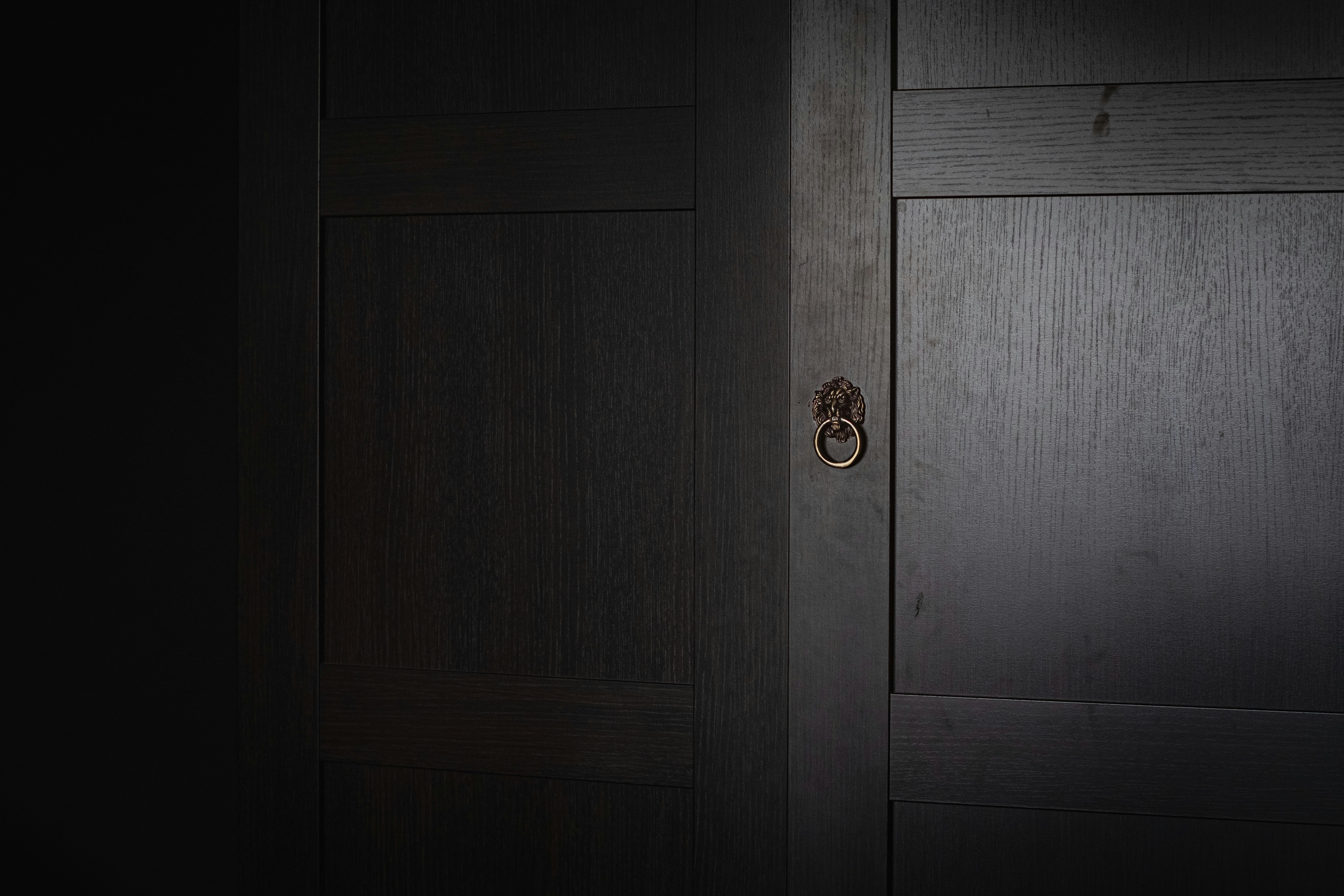 brown wooden door with gold door knob